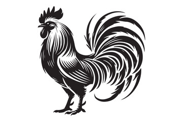 Rooster drawing silhouette