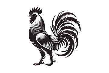 Rooster drawing silhouette