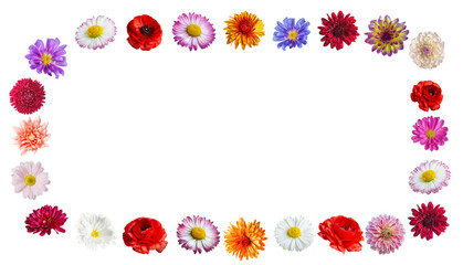 frame of different flowers roses, chrysanthemums, asters
