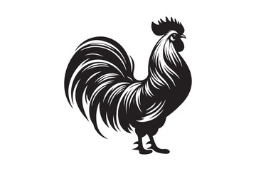 Rooster drawing silhouette