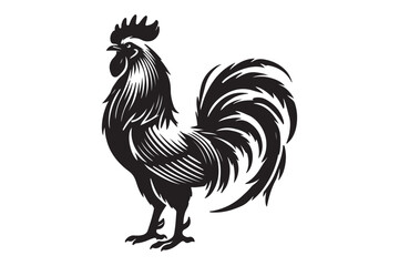 Rooster drawing silhouette