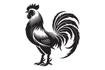 Rooster drawing silhouette