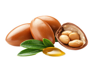 Isolated Argan Nuts, Oil, Leaves, and Seeds