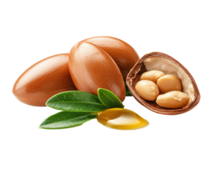 Isolated Argan Nuts, Oil, Leaves, and Seeds