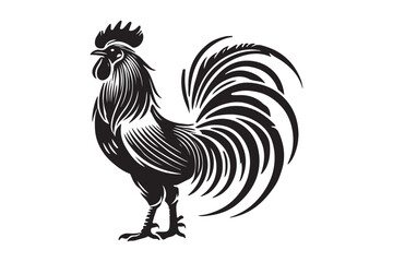 Rooster drawing silhouette