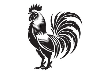 Rooster drawing silhouette