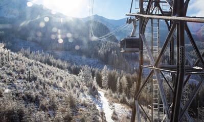 aerial view of snow covered fir trees