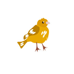 vector, ilustración de ave, pajaro amarillo