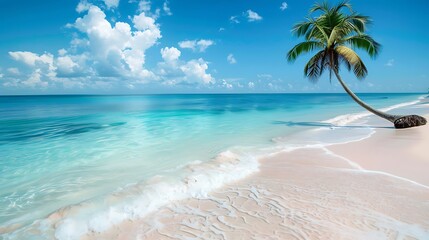 A tropical coconut palm against a pristine beach