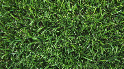 Fototapeta premium Close-up view of lush green grass in a vibrant outdoor setting. Generative AI