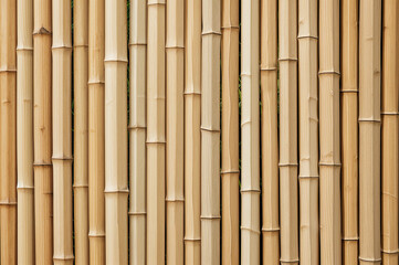 Fototapeta premium Light brown bamboo poles form a vertical textured wall.