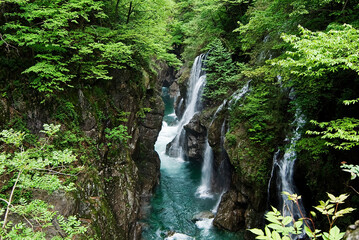 Ponte Romano Cossogno Parco nazionale della Val Grande