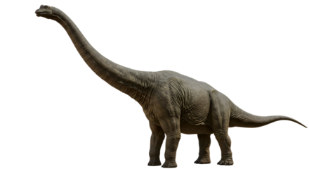 Brachiosaurus png, isolated on transparent background