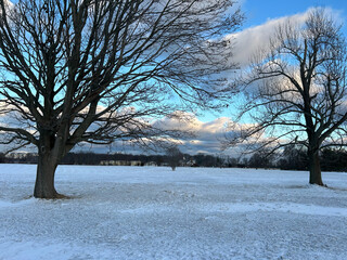 Winter at Caumsett State Historic Park Reserve on Long Island, New York