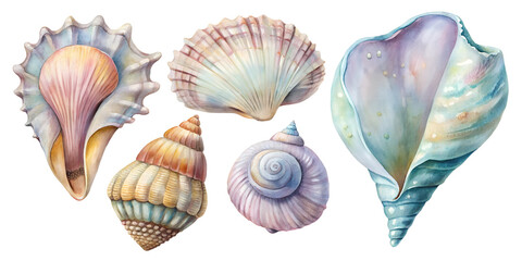 Collection of colorful seashells showcasing intricate designs and textures found along coastal shores