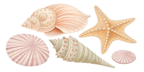 Collection of various seashells and a starfish arranged on a light background showcasing intricate textures and natural beauty