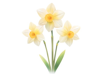 Obraz premium Beautiful daffodil flowers in bloom showcasing delicate white and yellow petals with green leaves growing together daffodil, flower, bloom, spring, petals, yellow, white, leaves, nature, garden, 