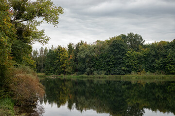 Peaceful lake with forest reflections under cloudy sky 3