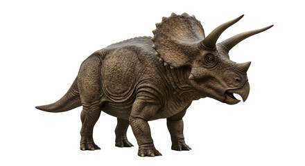 Dinosaur png, dinosaur isolated on transparent background