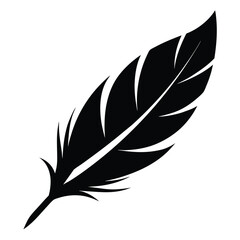 Obraz premium feather silhouette, bird feather silhouette art, quill pen element 