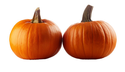 Obraz premium calabaza