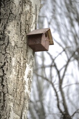 bird house on tree