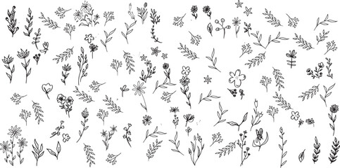 Contemporary abstract minimal tattoo flower collection. Vector illustration. Ink hand drawn wild flowers set.