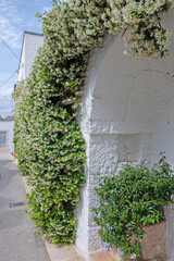 The Old town of Alberobello, Italy
