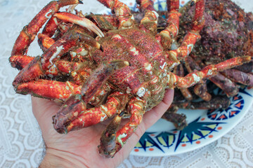 a crab in my hand, the taste of the sea