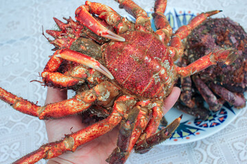 seafood in my hand waiting to be cooked