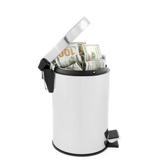 Dollar banknotes in trash bin on white background