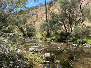 Peaceful river in the Australian bush