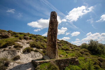 A fossilized tree trunk from the UNESCO Geopark "Petrified Forest of Sigri" on the island of Lesvos in Greece. Greece Lesbos fossil forest © Esin Deniz