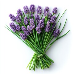 Fototapeta premium Aromatic Lavender Bouquet: Freshly Harvested Purple Flowers