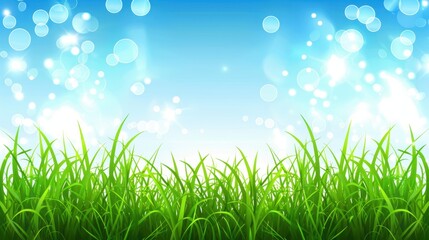 Obraz premium Vibrant Green Grass Against a Sunny Blue Sky Background.