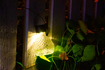 Night View Of Flowerbed Illuminated By Energy-Saving Solar Powered Colorful Multi-colored Lantern On Yard. Outdoor Lighting and Illumination Theme.