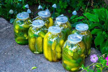 Close up of canned and preserved fresh homemade pickles (cucumbers) in glass jars