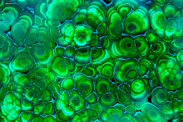 Malachite is a green mineral gemstone texture. Semiprecious ornamental stone malachite. green background
