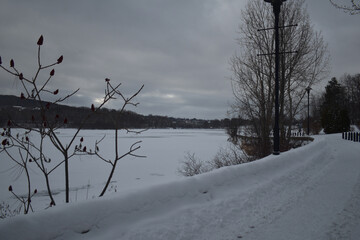 Sherbrooke 14 Janvier 2025