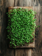 Fresh green herbs sprouting from a wooden board indoors or outdoors, symbolizing the growth of urban farming and sustainable living practices.