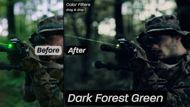 Dark Forest Green Color Filters