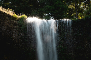 Fototapeta premium waterfall in the forest
