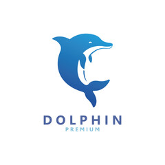 Vector Dolphin Logo Creative Design
