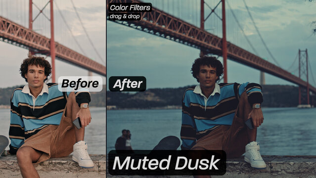Muted Dusk Color Filters
