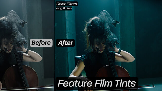 Feature Film Tints Color Filters