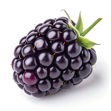 blackberry on white
