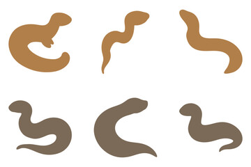 Simple Amphiuma Illustration