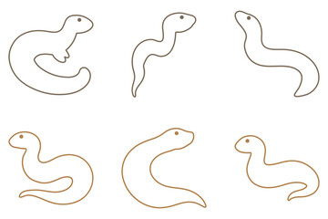 Obraz premium Outline Amphiuma Illustration
