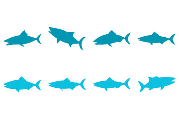 Simple Barracuda Illustration
