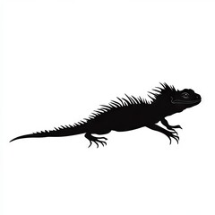 Fototapeta premium Silhouette of a lizard against white background